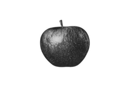 Marque figurative Apple