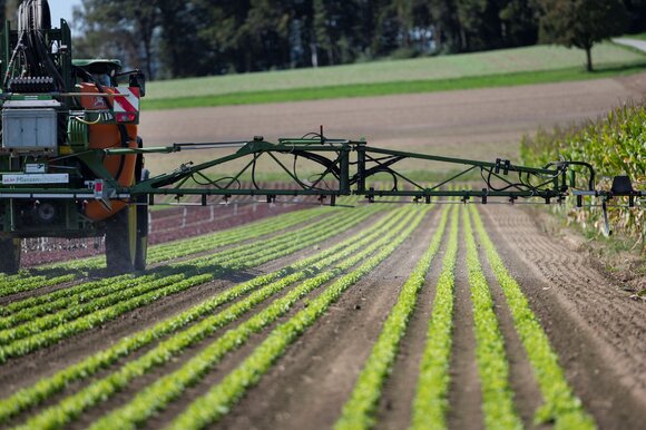Die Abbauprodukte von Chlorothalonil sind eine Gefährdung für Amphibien und Fische sowie eine Belastung für das Grund- und Trinkwasser. (Bild: Keystone)